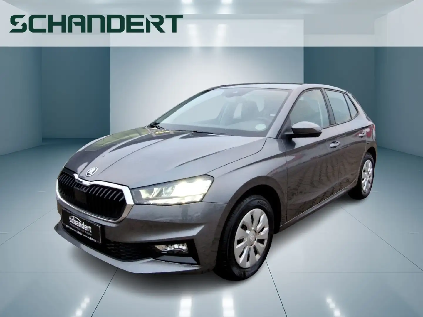 Skoda Fabia 1.0 MPI Selection LED Sitzhzg Klimaautomatik Grau - 1