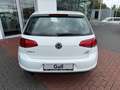 Volkswagen Golf VII 1.2 TSI Comfortline SHZ,Bluetooth,AppConnect Blanc - thumbnail 12