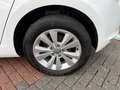Volkswagen Golf VII 1.2 TSI Comfortline SHZ,Bluetooth,AppConnect Weiß - thumbnail 14