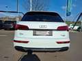 Audi Q5 40 TDI quattro * S-LINE * PANORAMADACH * AHK Weiß - thumbnail 8