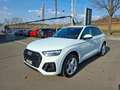 Audi Q5 40 TDI quattro * S-LINE * PANORAMADACH * AHK Weiß - thumbnail 5