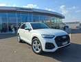 Audi Q5 40 TDI quattro * S-LINE * PANORAMADACH * AHK Weiß - thumbnail 13