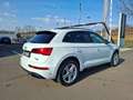 Audi Q5 40 TDI quattro * S-LINE * PANORAMADACH * AHK Weiß - thumbnail 10