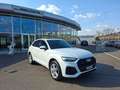 Audi Q5 40 TDI quattro * S-LINE * PANORAMADACH * AHK Weiß - thumbnail 3