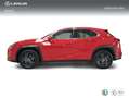 Lexus UX 250h 2.0 Business Rojo - thumbnail 3