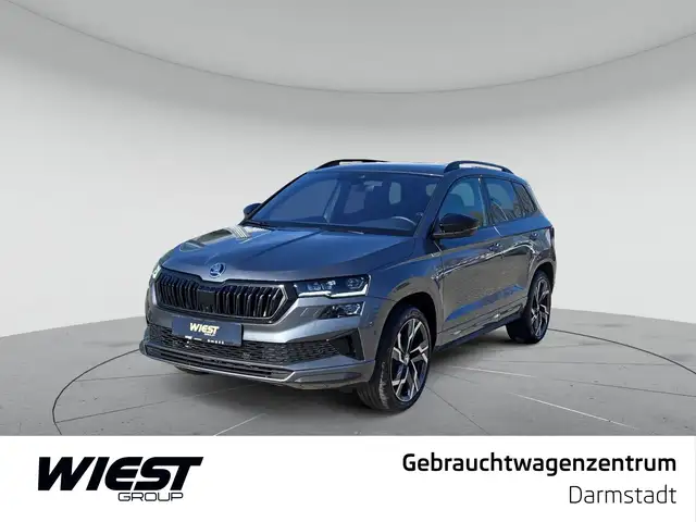 Skoda Karoq main image