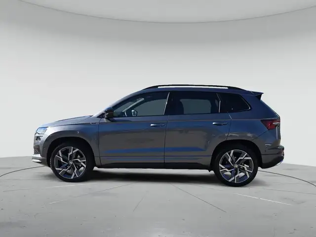 Skoda Karoq view 6