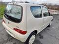 Fiat Seicento 1.1i 50th Anniversary Beżowy - thumbnail 5