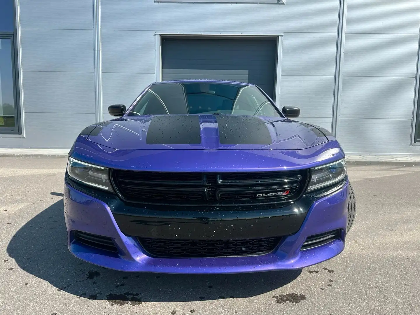 Dodge Charger V6 *Blacktop*CarPlay* Plum Crazy*20 Zoll Violett - 2