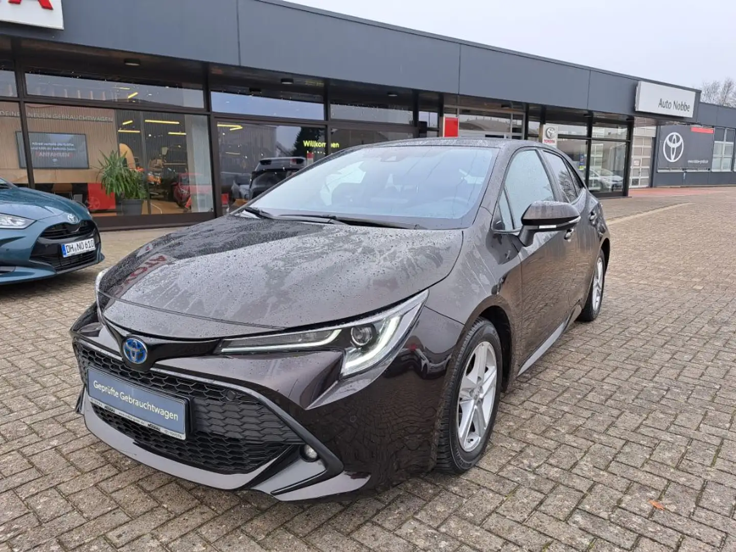 Toyota Corolla 1.8 Hybrid Team Deutschland Brun - 2