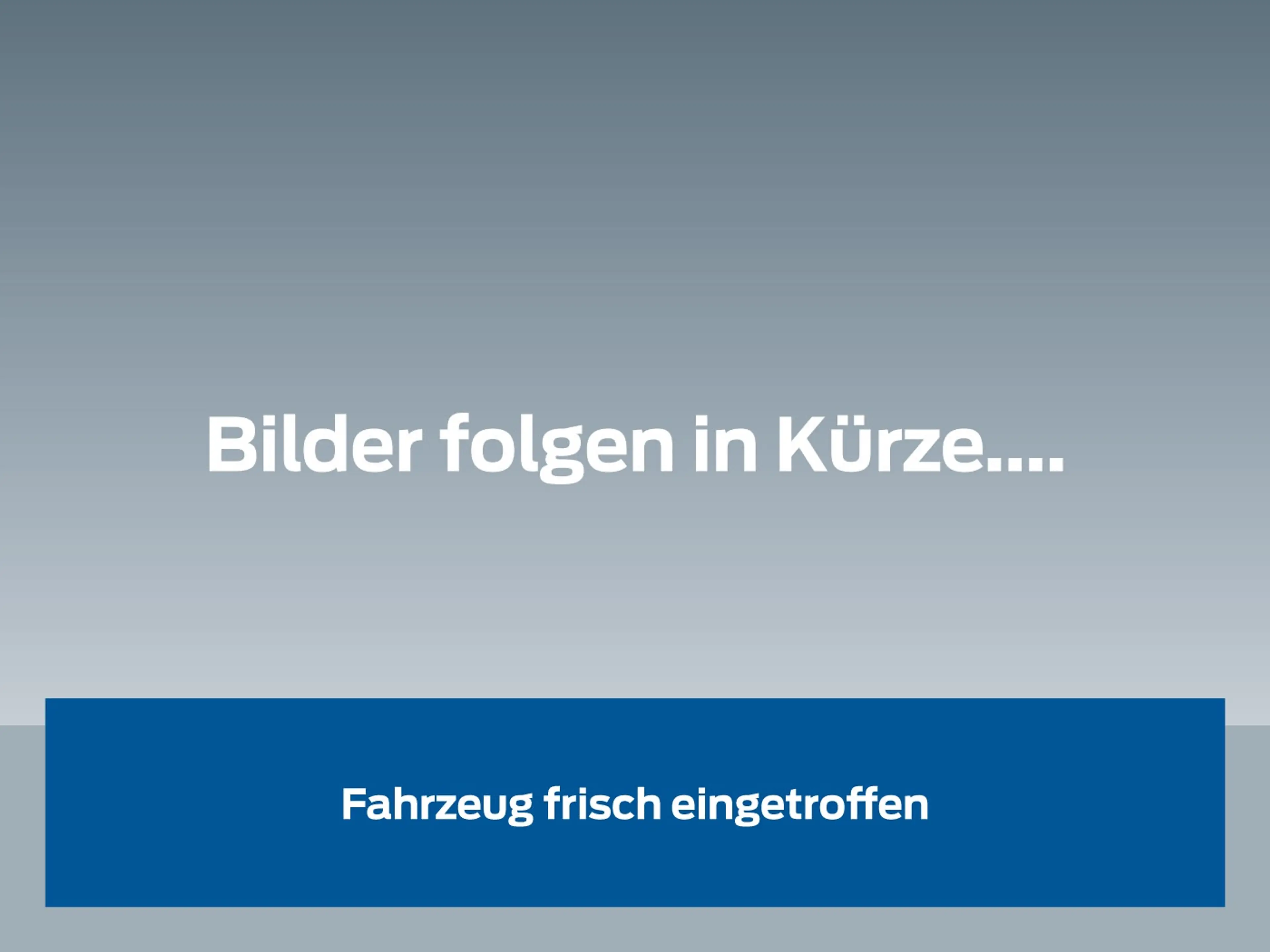 Ford Puma ST-Line LED-Matrix-Scheinwerfer FAHRERASSISTENZ/WI
