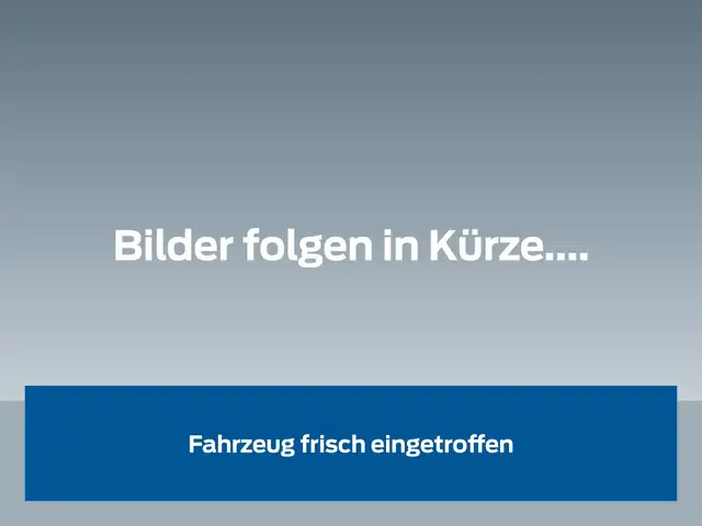 Ford Puma ST Line LED Matrix Scheinwerfer FAHRERASSISTENZ/WI