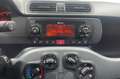 Fiat Panda City Life Hybrid 1.0 Gse 51kw (70CV) Blauw - thumbnail 11