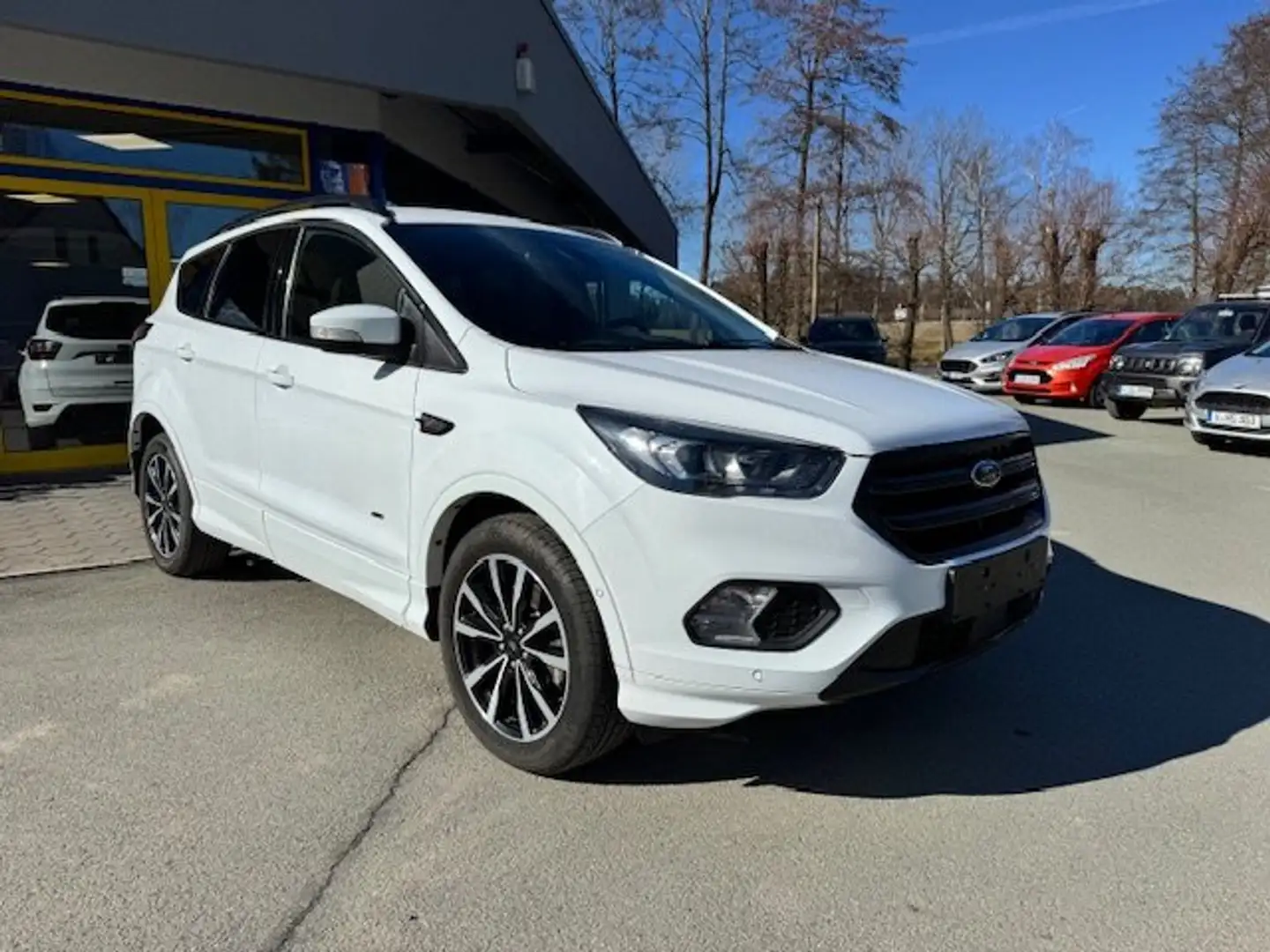 Ford Kuga 2.0 TDCi 4x4 Aut. ST-Line PDC, Kamera, LED, AHZV Weiß - 1