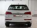 Audi Q5 40 TDI quattro S line Matrix Keyless Kamera Weiß - thumbnail 7
