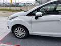 Ford Fiesta Fiesta VI 2013 5p 1.4 Business Gpl 95cv E6 Weiß - thumbnail 5