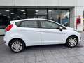 Ford Fiesta Fiesta VI 2013 5p 1.4 Business Gpl 95cv E6 Weiß - thumbnail 8