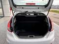 Ford Fiesta Fiesta VI 2013 5p 1.4 Business Gpl 95cv E6 Weiß - thumbnail 16