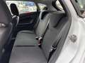 Ford Fiesta Fiesta VI 2013 5p 1.4 Business Gpl 95cv E6 Weiß - thumbnail 15