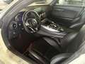 Mercedes-Benz AMG GT Coupe Speedshift 7G-DCT - thumbnail 14