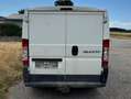 Fiat Ducato Ducato Panorama 2,5 TD Weiß - thumbnail 2