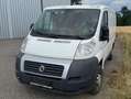 Fiat Ducato Ducato Panorama 2,5 TD Weiß - thumbnail 1