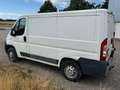 Fiat Ducato Ducato Panorama 2,5 TD Weiß - thumbnail 3