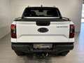 Ford Ranger Ranger Doppelkabine Wildtrak 4x4 2,0 EcoBlue Aut. Weiß - thumbnail 6