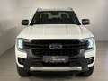 Ford Ranger Ranger Doppelkabine Wildtrak 4x4 2,0 EcoBlue Aut. Weiß - thumbnail 2