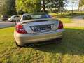 Mercedes-Benz SLK 55 AMG SLK 55 AMG 7G-TRONIC Silber - thumbnail 3