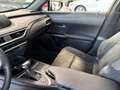 Lexus UX 200 UX 250h 2.0 Business 2wd cvt my20 Nero - thumbnail 11