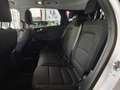 Ford Kuga 1.5 EcoBlue Trend FWD 120 Blanco - thumbnail 11