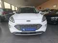 Ford Kuga 1.5 EcoBlue Trend FWD 120 Blanco - thumbnail 1