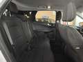 Ford Kuga 1.5 EcoBlue Trend FWD 120 Blanco - thumbnail 10