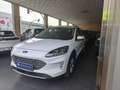 Ford Kuga 1.5 EcoBlue Trend FWD 120 Blanco - thumbnail 2