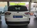 Ford Kuga 1.5 EcoBlue Trend FWD 120 Blanco - thumbnail 4