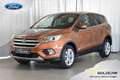 Ford Kuga 1,5 EcoBoost Titanium AWD Goud - thumbnail 1