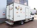 Iveco Daily 50C18 3.0 Aut. Koelwagen Bakwagen Nachtkoeling Alb - thumbnail 2