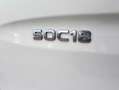 Iveco Daily 50C18 3.0 Aut. Koelwagen Bakwagen Nachtkoeling Blanco - thumbnail 27