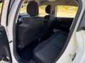 Citroen C3 BlueHDi 75KW (100CV) S&S Live Pack Wit - thumbnail 11