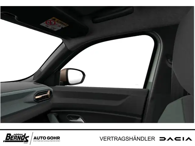 Dacia Duster view 13