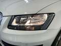 Audi Q5 2.0 tdi Advanced quattro 143cv Bianco - thumbnail 7
