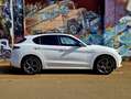 Alfa Romeo Stelvio Stelvio 2.0 Turbo Q4 Veloce Blanc - thumbnail 7