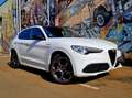 Alfa Romeo Stelvio Stelvio 2.0 Turbo Q4 Veloce Blanc - thumbnail 2