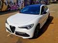 Alfa Romeo Stelvio Stelvio 2.0 Turbo Q4 Veloce Blanc - thumbnail 13