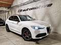 Alfa Romeo Stelvio Stelvio 2.0 Turbo Q4 Veloce Blanc - thumbnail 1