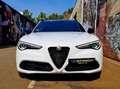 Alfa Romeo Stelvio Stelvio 2.0 Turbo Q4 Veloce Blanc - thumbnail 15