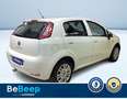 Fiat Punto 1.2 YOUNG 5P Blanc - thumbnail 8