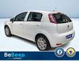 Fiat Punto 1.2 YOUNG 5P Blanc - thumbnail 6