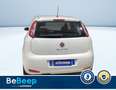 Fiat Punto 1.2 YOUNG 5P Blanc - thumbnail 7